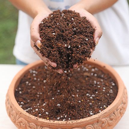 盆栽花土